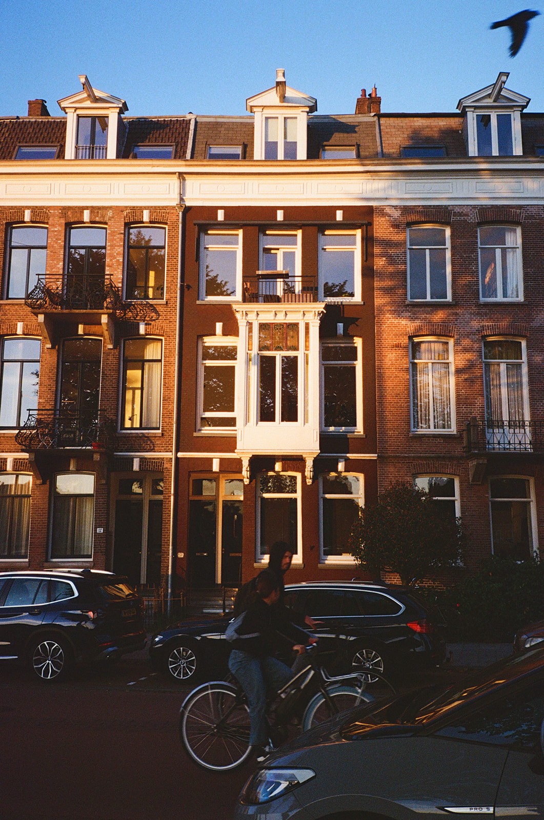 Where I Want to Photograph You in Amsterdam