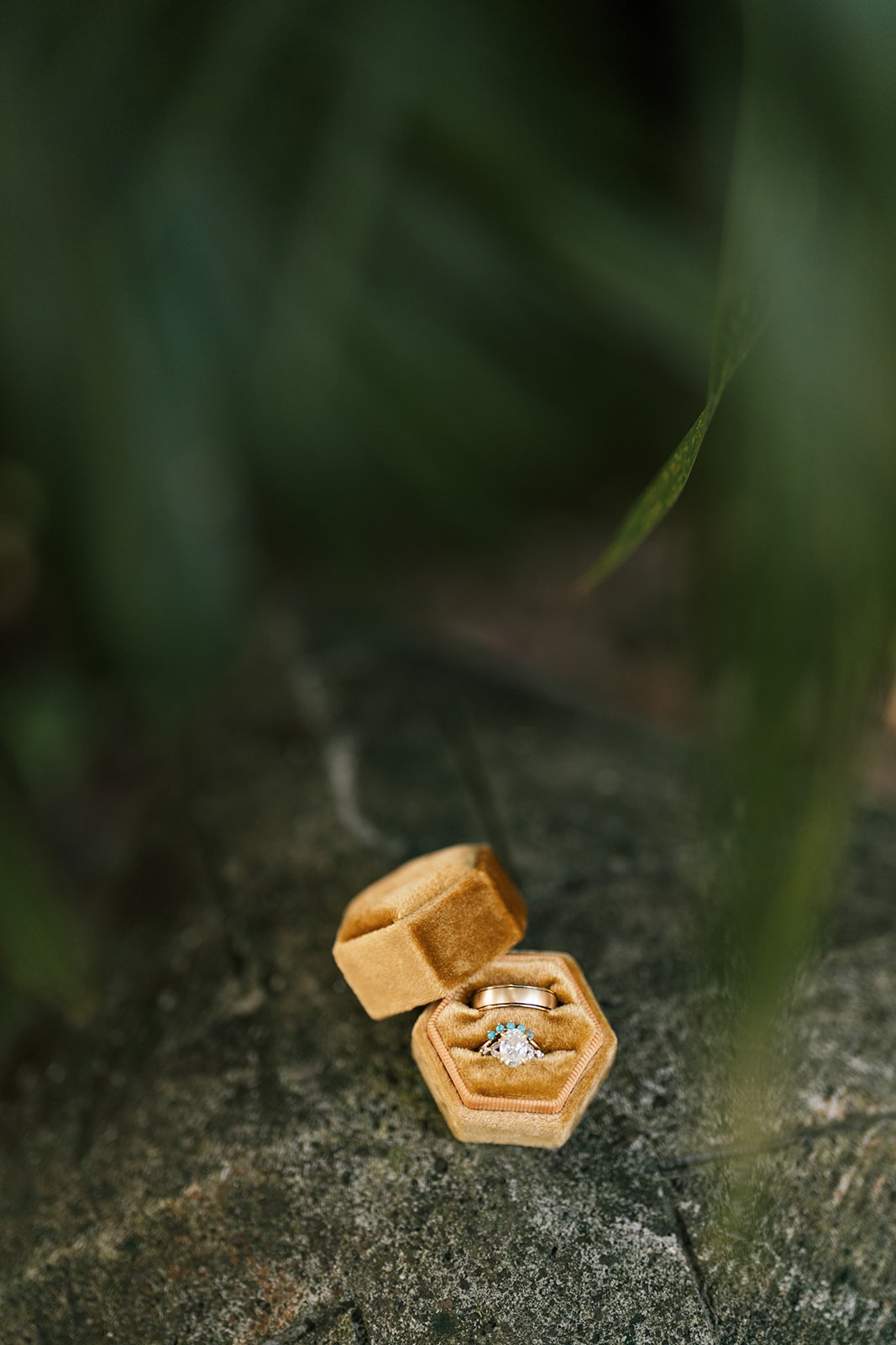 Wedding rings displayed in a velvet ring box resting on stone amid soft greenery