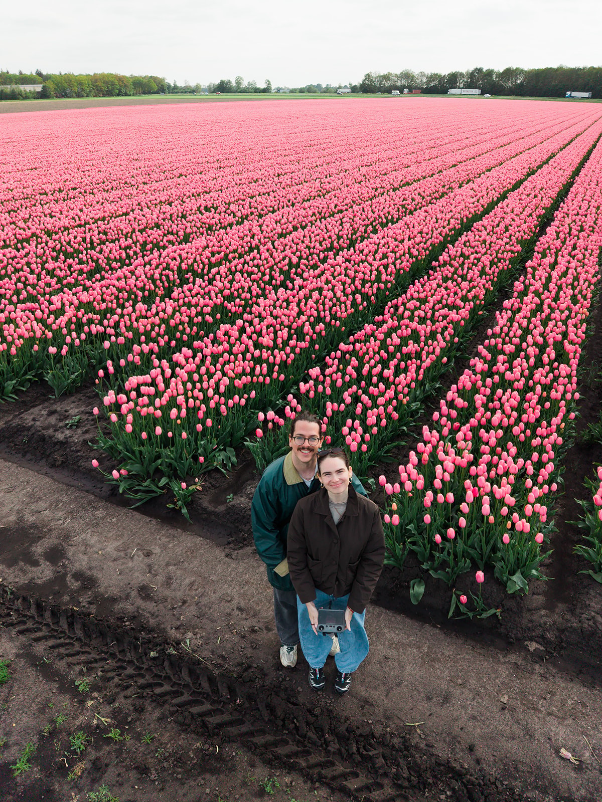 Drone operator couple stand at the edge of a pink tulip field, one holding the remote control, muddy tire tracks nearby.