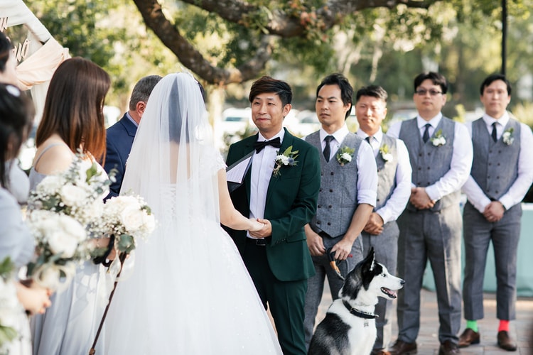 Outdoor ceremony: groom in a green tuxedo holds the bride's hands at the altar, emotional, while groomsmen stand alongside and the couple's husky sits at his feet.