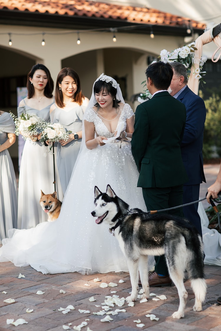 Bride reads her vows with a wide smile at the ceremony, bridesmaids holding bouquets behind her while the couple's husky stands in the foreground.