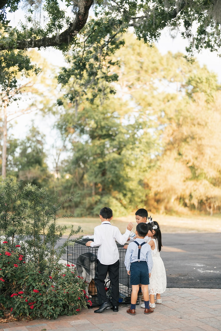 Three young children in formal attire peering curiously into a dog crate beside flowering bushes during the outdoor ceremony.