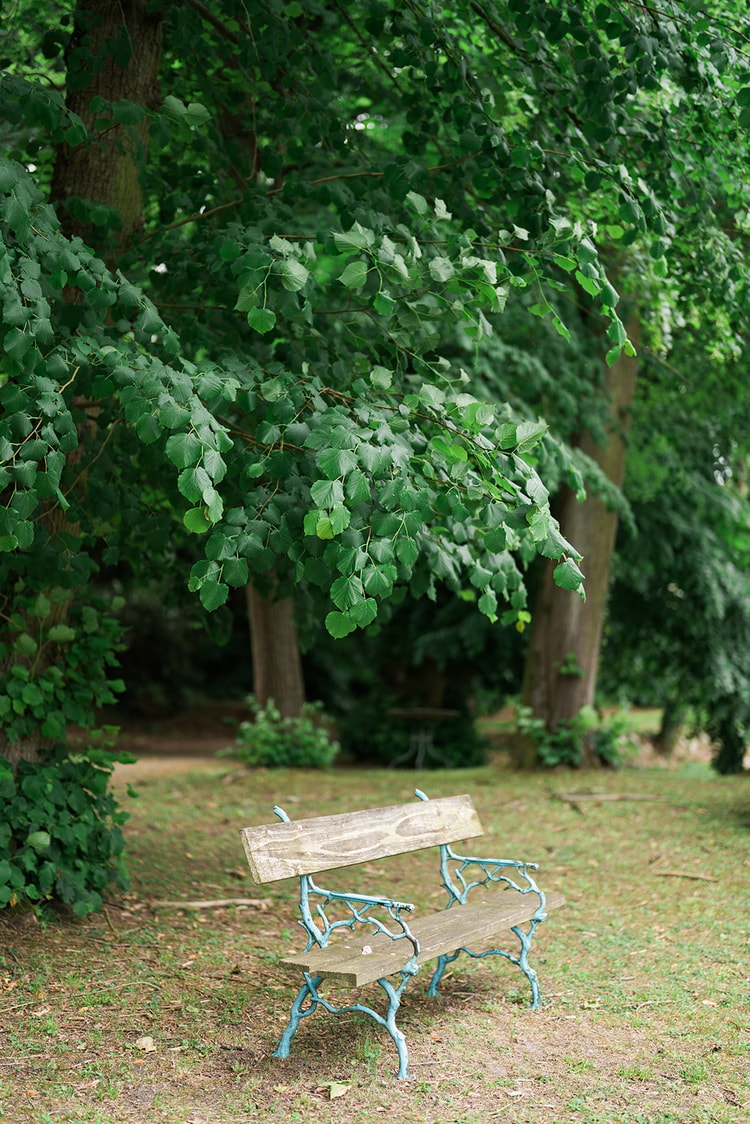 Weathered wooden bench with turquoise branch-form iron legs resting under low linden boughs in the park at Ermenonville, France.