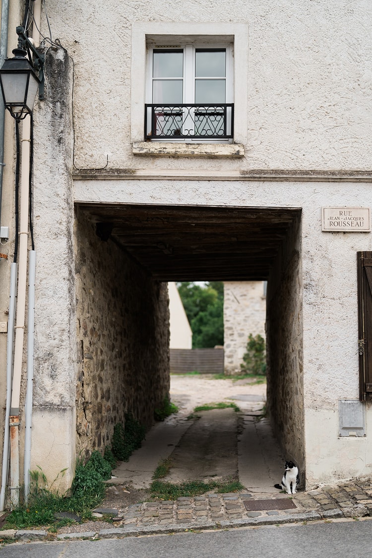 Stone passageway under a house on Rue Jean-Jacques Rousseau in Ermenonville, France, with a black and white cat sitting at the entrance.