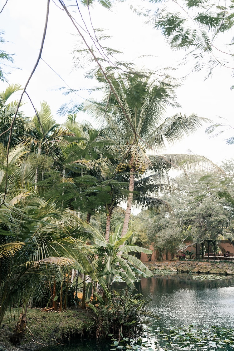 Lush tropical garden setting with palm trees and a lily-pad pond, framing the outdoor wedding venue in soft overcast light.