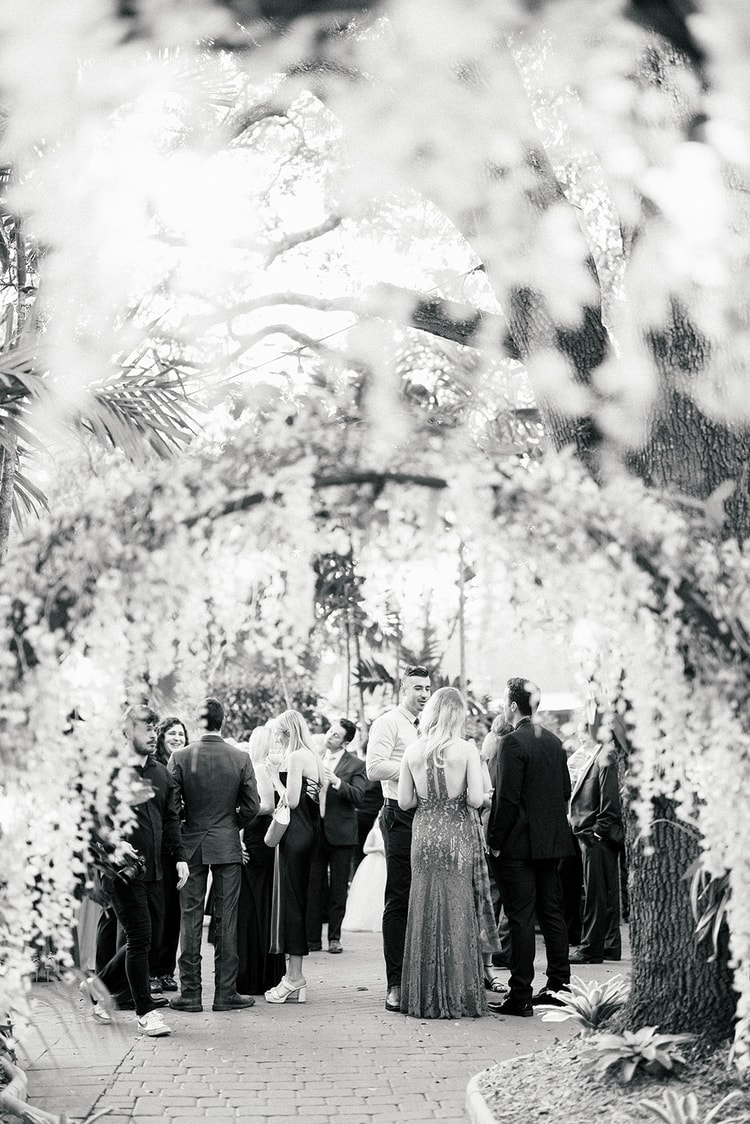 Black and white photo of wedding guests mingling during cocktail hour beneath a floral-draped garden arch.