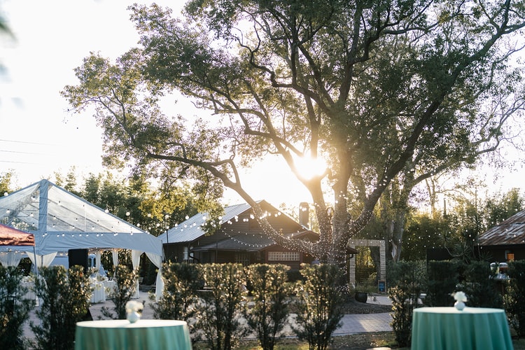Outdoor reception venue at golden hour, string lights glowing through trees, cocktail tables set on the grounds.